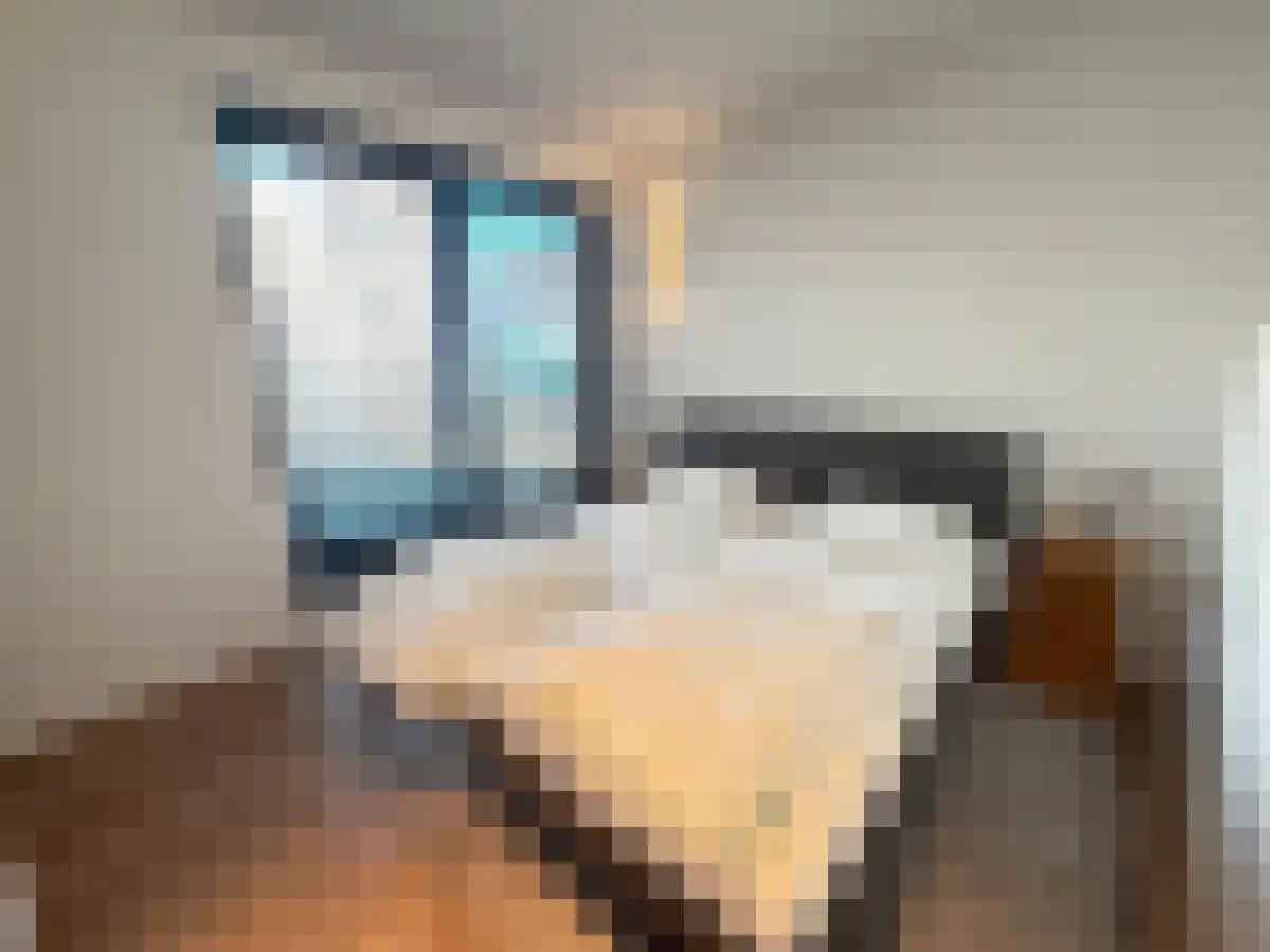 Capucijnenstraat 31 Maastricht thumbnail 6