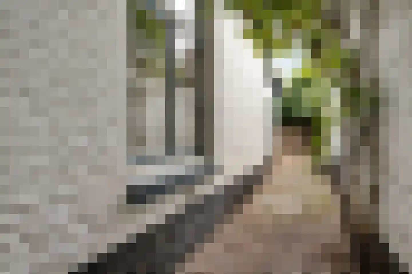 Capucijnenstraat 35 Maastricht thumbnail 20