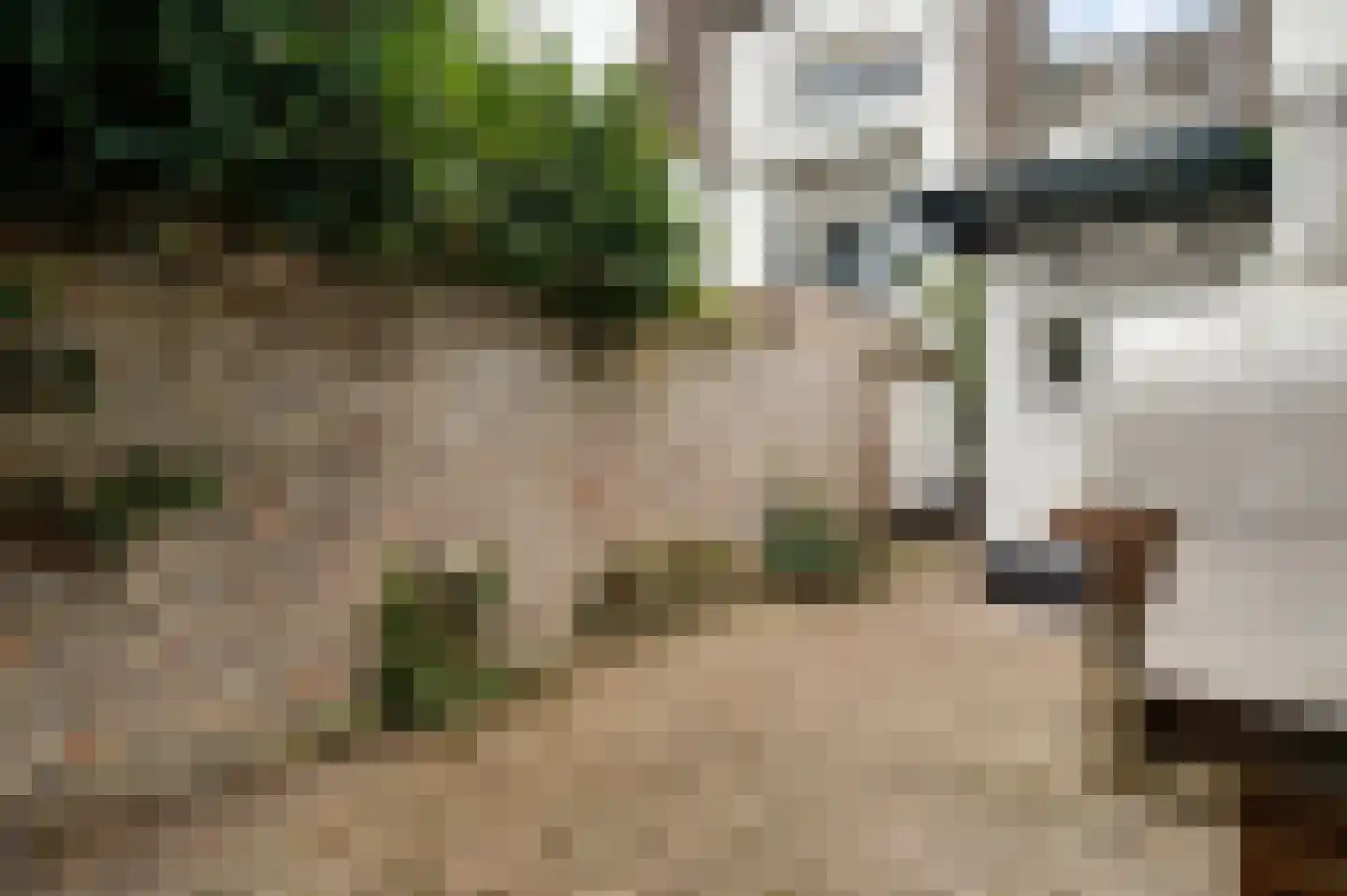 Capucijnenstraat 35 Maastricht thumbnail 21