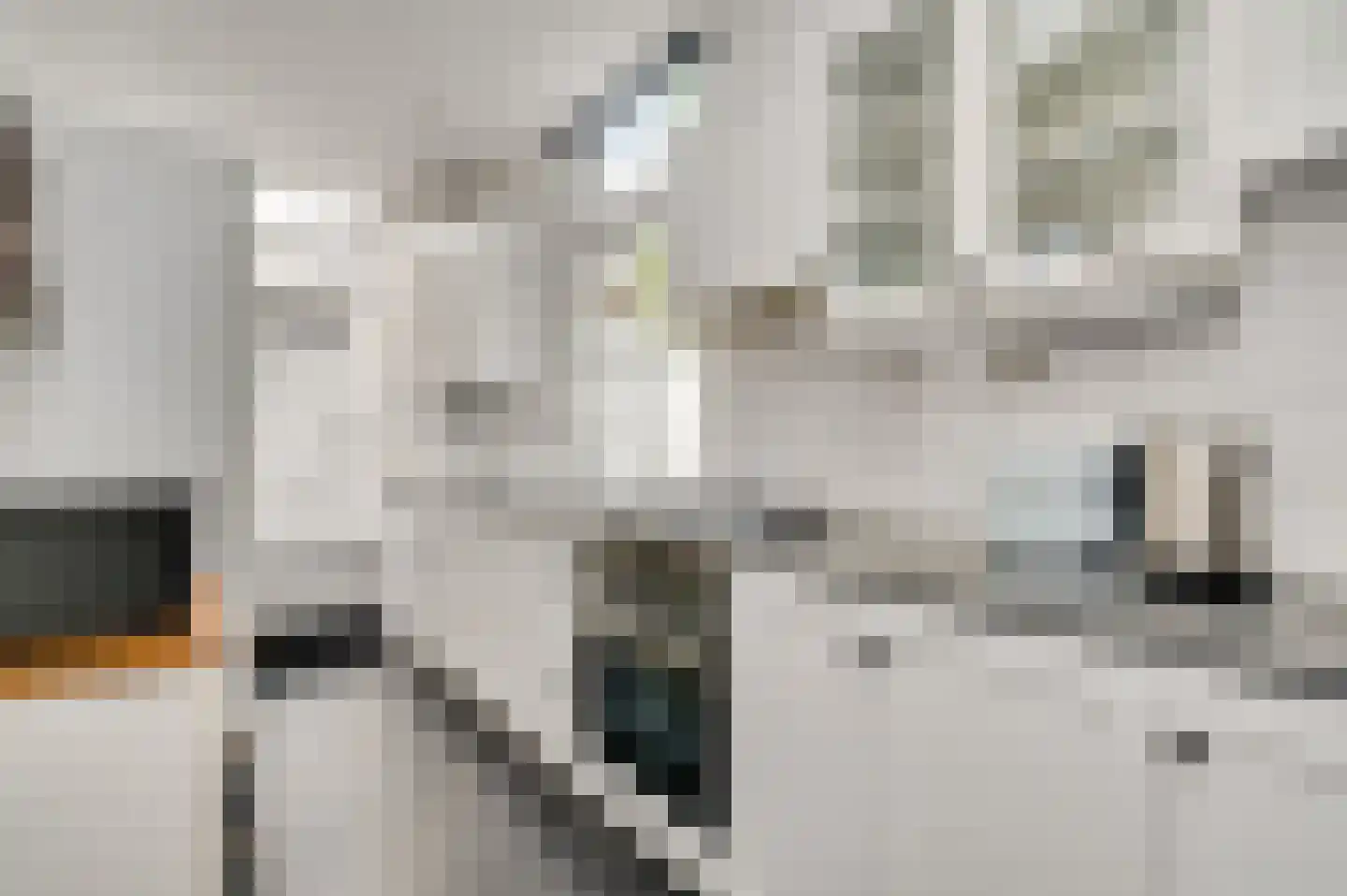 Capucijnenstraat 35 Maastricht thumbnail 4