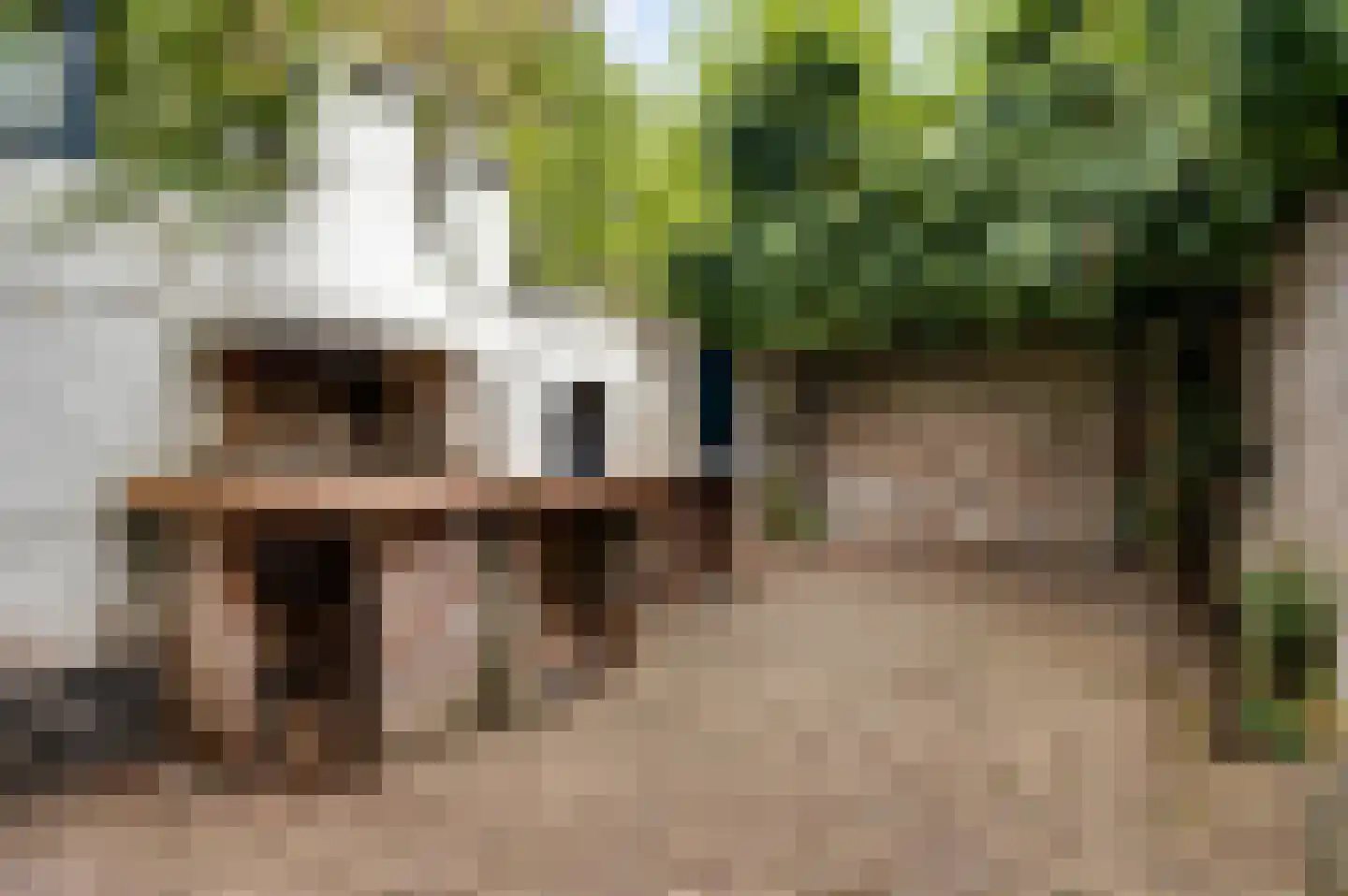 Capucijnenstraat 35 Maastricht thumbnail 5