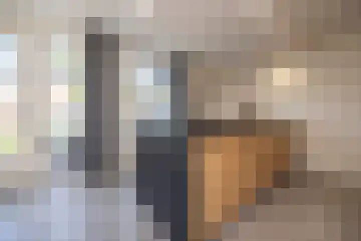 Capucijnenstraat 52 Biezenmortel thumbnail 11