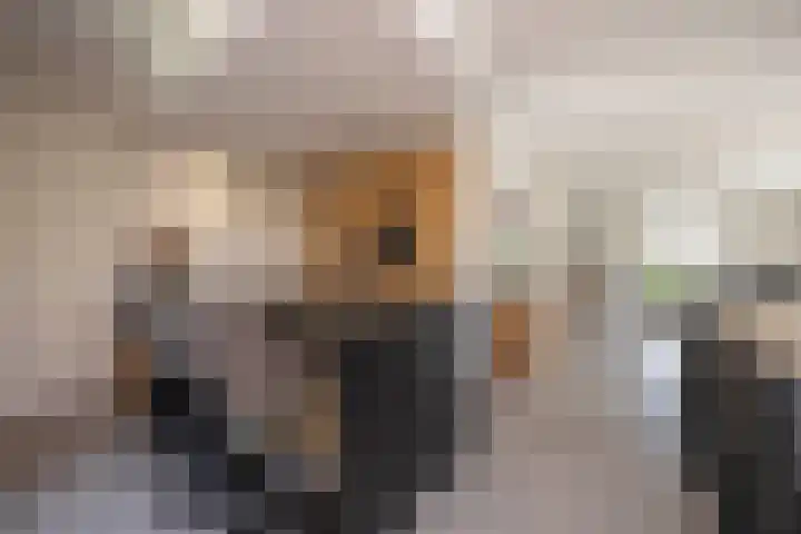 Capucijnenstraat 52 Biezenmortel thumbnail 12