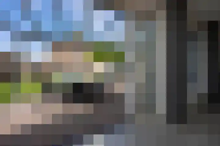 Capucijnenstraat 52 Biezenmortel thumbnail 15