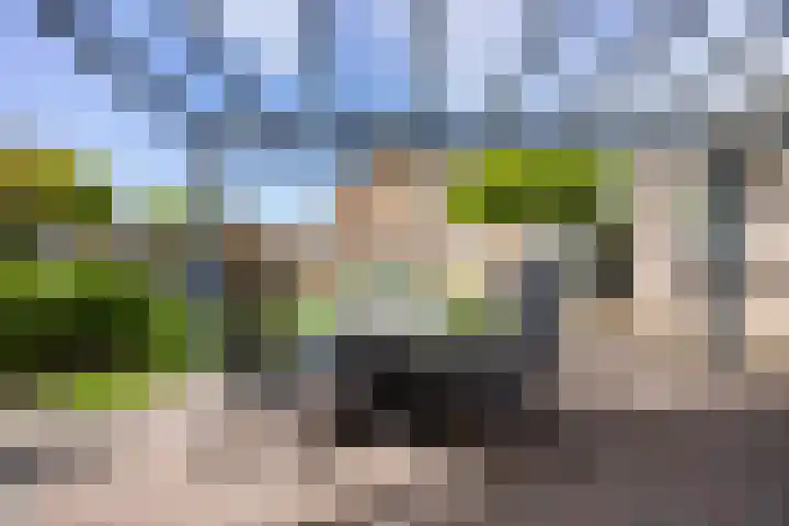 Capucijnenstraat 52 Biezenmortel thumbnail 30
