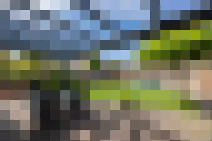 Capucijnenstraat 52 Biezenmortel thumbnail 31