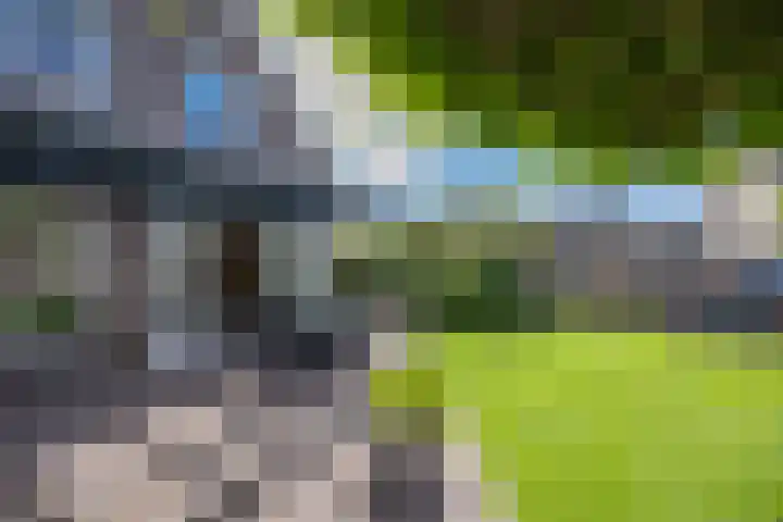 Capucijnenstraat 52 Biezenmortel thumbnail 32