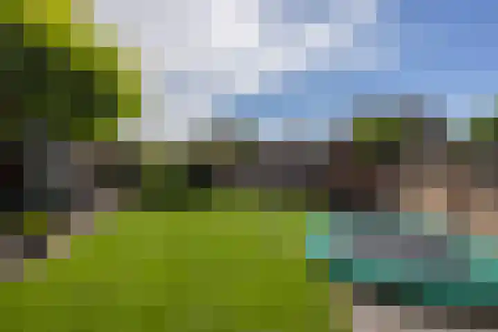 Capucijnenstraat 52 Biezenmortel thumbnail 33