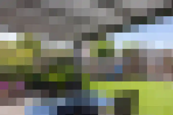 Capucijnenstraat 52 Biezenmortel thumbnail 36