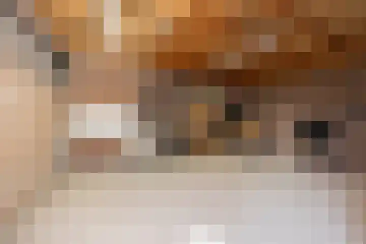 Capucijnenstraat 52 Biezenmortel thumbnail 37