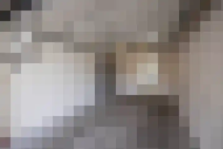 Capucijnenstraat 52 Biezenmortel thumbnail 39