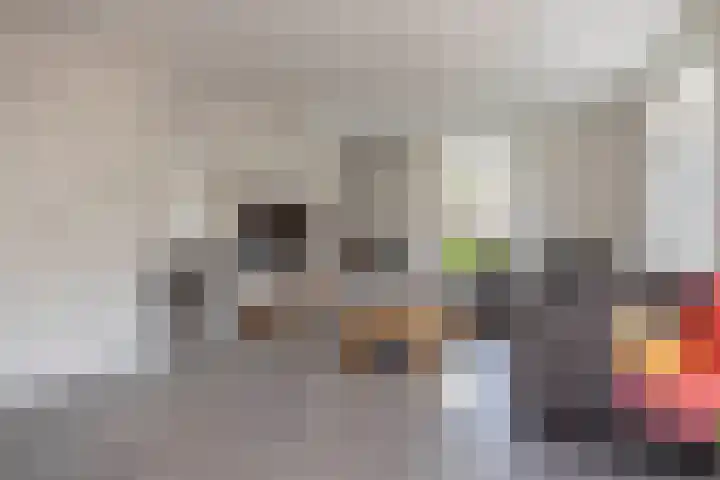 Capucijnenstraat 52 Biezenmortel thumbnail 6
