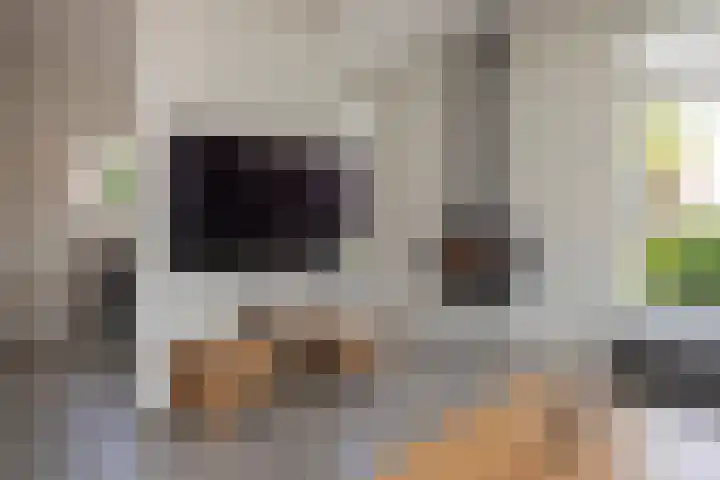 Capucijnenstraat 52 Biezenmortel thumbnail 7