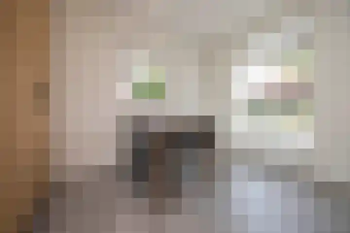 Capucijnenstraat 52 Biezenmortel thumbnail 8