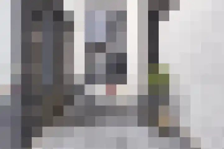 Capucijnenstraat 56 Tilburg thumbnail 23