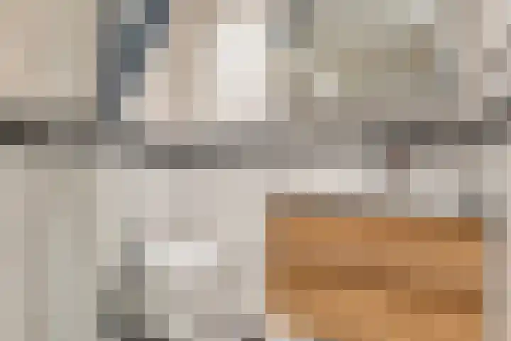 Capucijnenstraat 59 Tilburg thumbnail 21