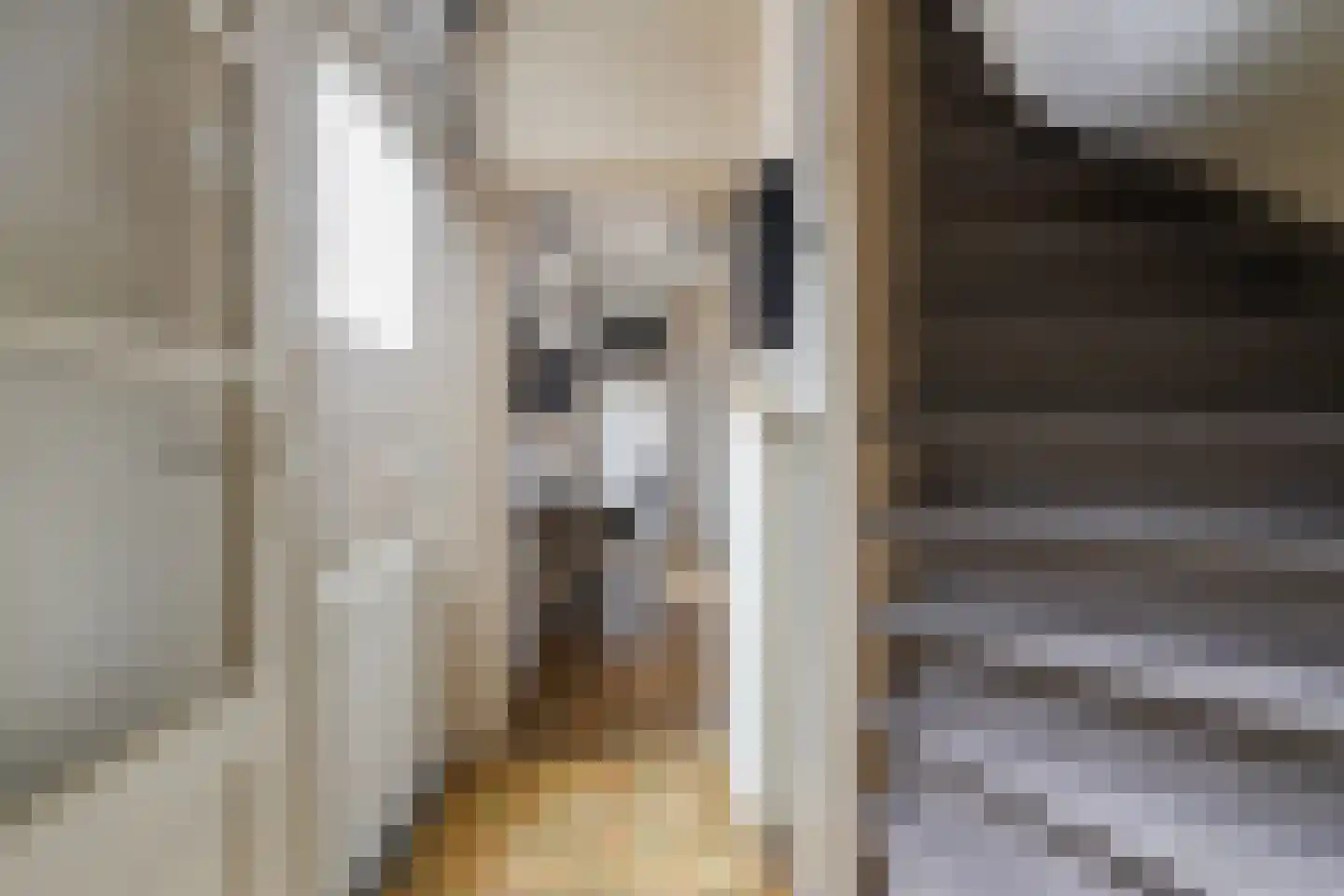 Capucijnenstraat 60 Tilburg thumbnail 12