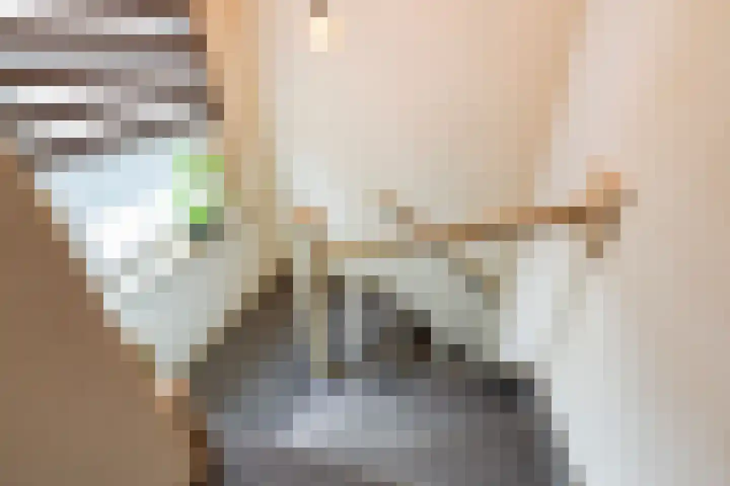 Capucijnenstraat 60 Tilburg thumbnail 21