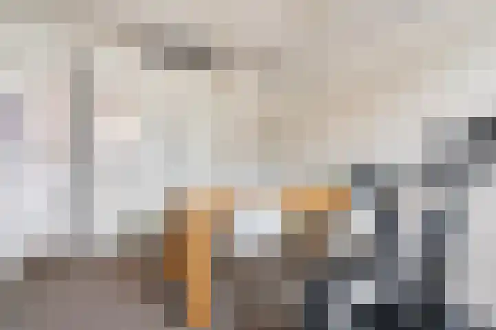 Capucijnenstraat 62 Tilburg thumbnail 20