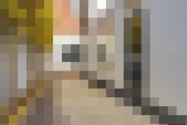 Capucijnenstraat 62 Tilburg thumbnail 32
