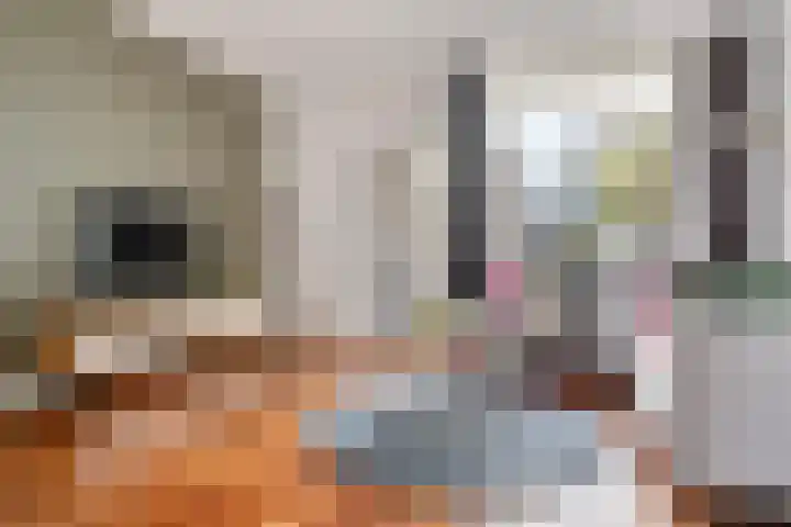 Capucijnenstraat 62 Tilburg thumbnail 5
