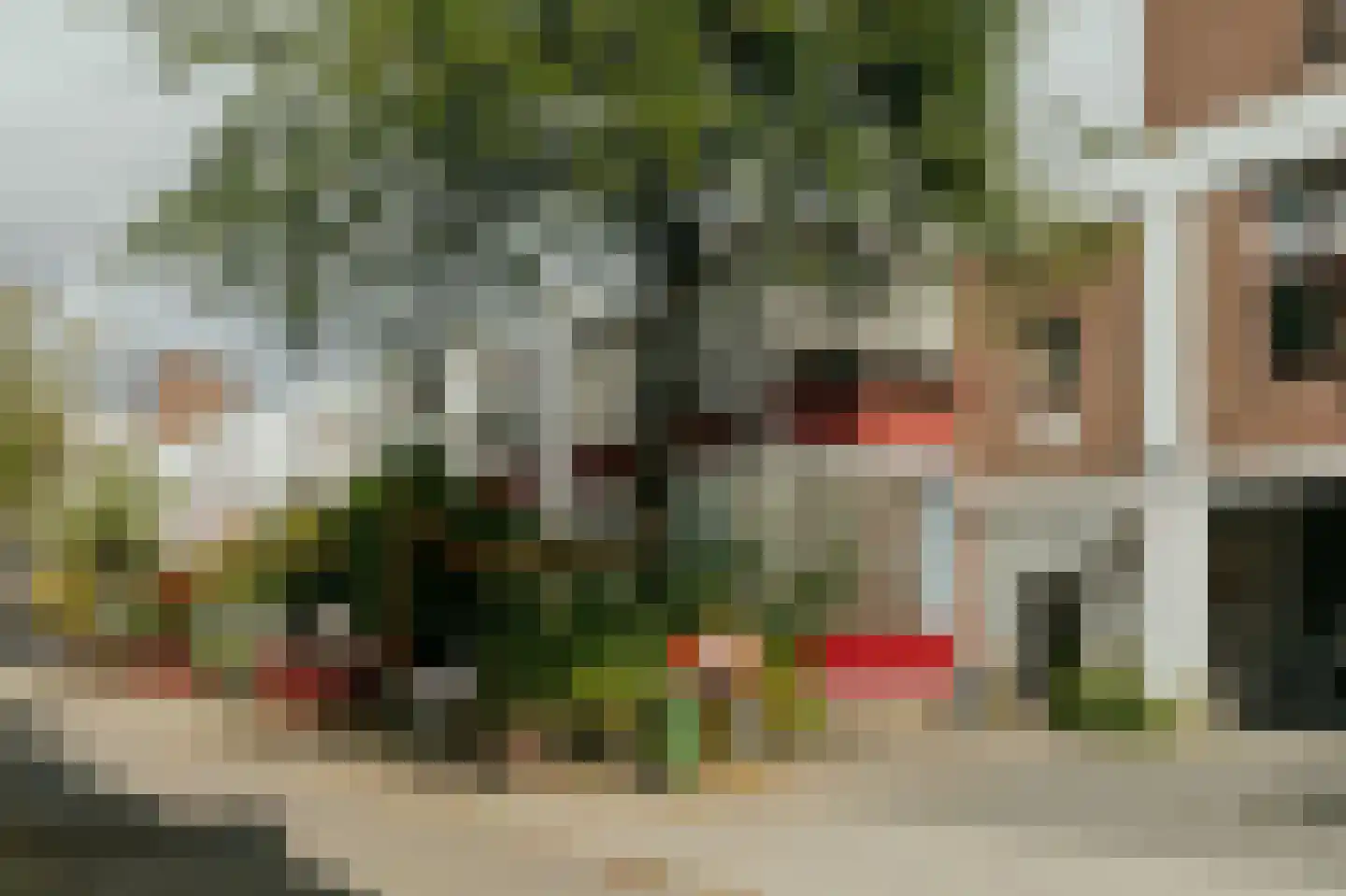 Capucijnenstraat 71 Maastricht thumbnail 22