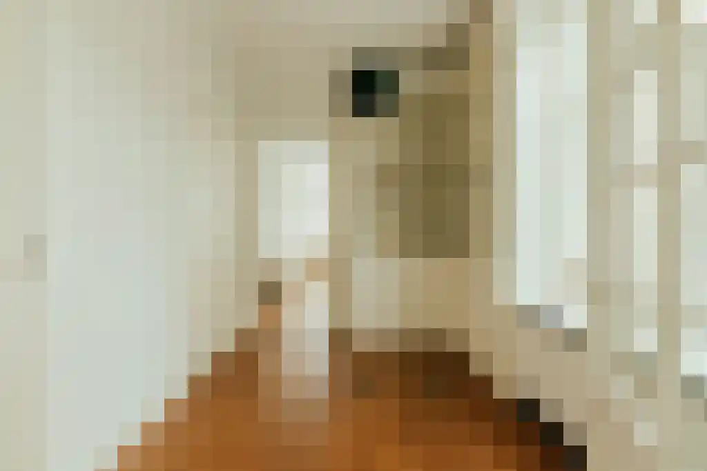 Capucijnenstraat 71 Maastricht thumbnail 6