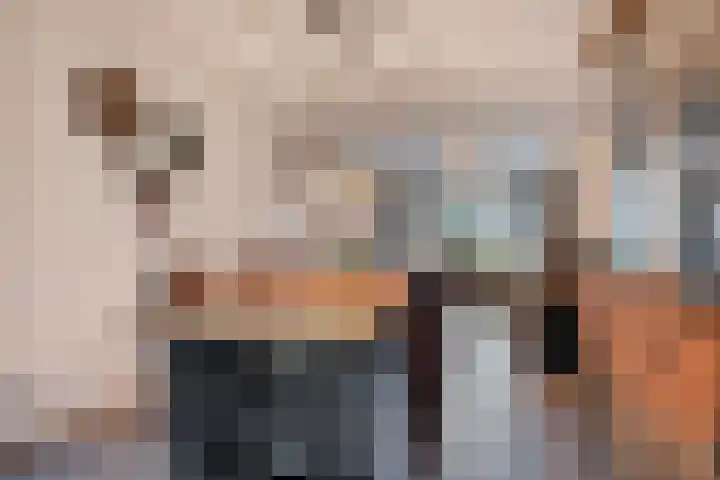 Capucijnenstraat 94 Biezenmortel thumbnail 12