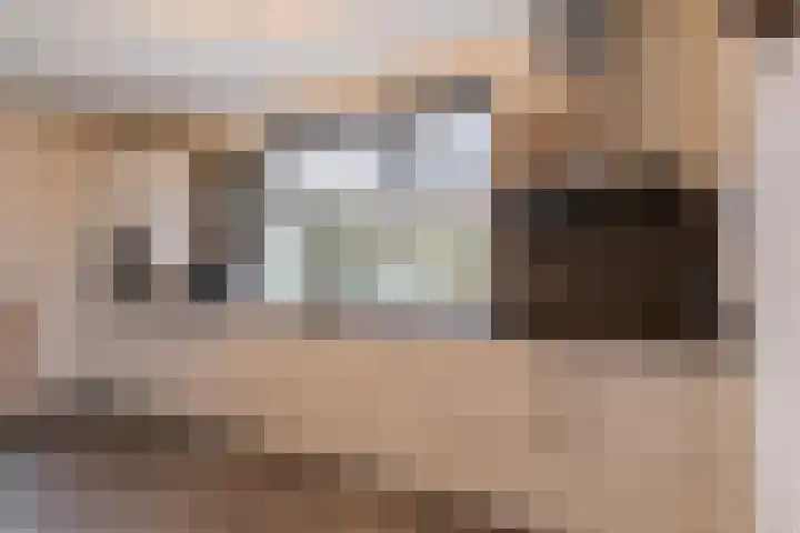 Capucijnenstraat 94 Biezenmortel thumbnail 13