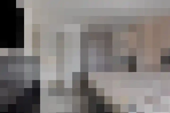 Capucijnenstraat 94 Biezenmortel thumbnail 20
