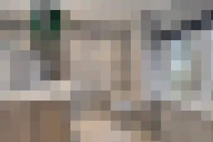 Capucijnenstraat 94 Biezenmortel thumbnail 25