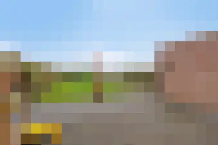 Capucijnenstraat 94 Biezenmortel thumbnail 32