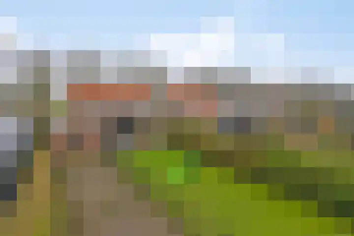 Capucijnenstraat 94 Biezenmortel thumbnail 35