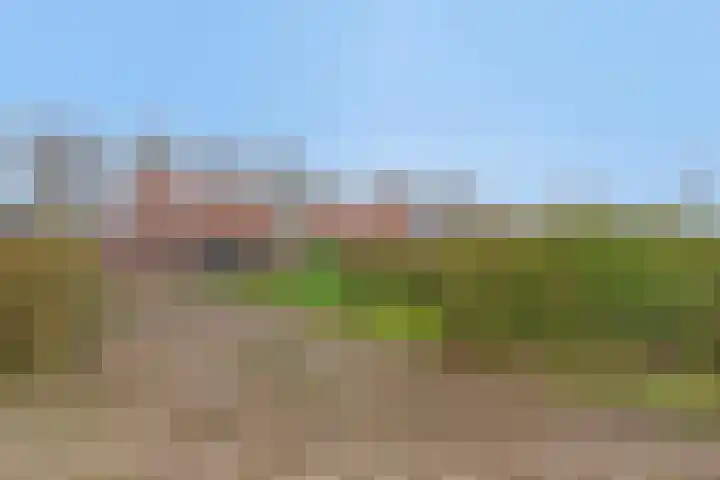 Capucijnenstraat 94 Biezenmortel thumbnail 36
