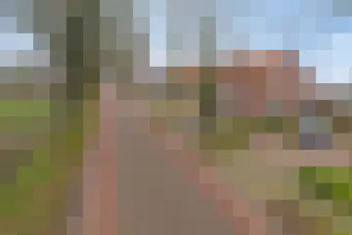 Capucijnenstraat 94 Biezenmortel thumbnail 4