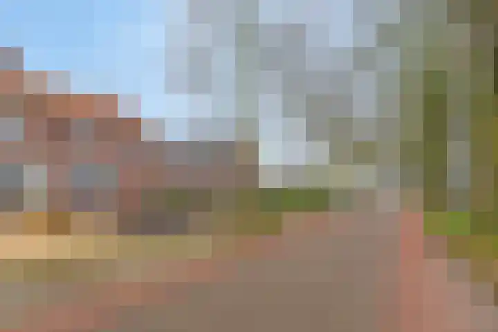 Capucijnenstraat 94 Biezenmortel thumbnail 5