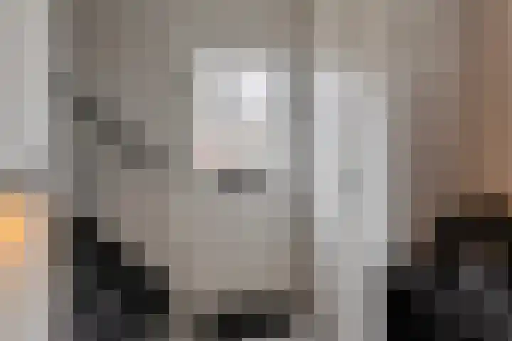Capucijnenstraat 94 Biezenmortel thumbnail 7