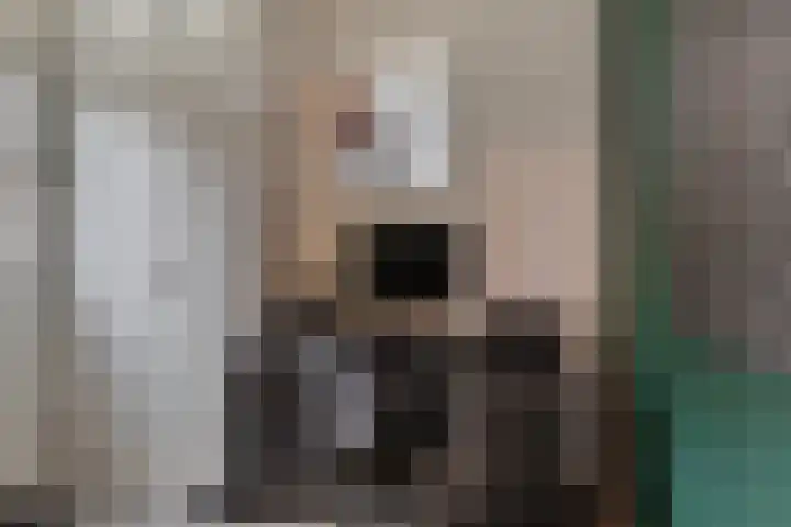 Capucijnenstraat 94 Biezenmortel thumbnail 8