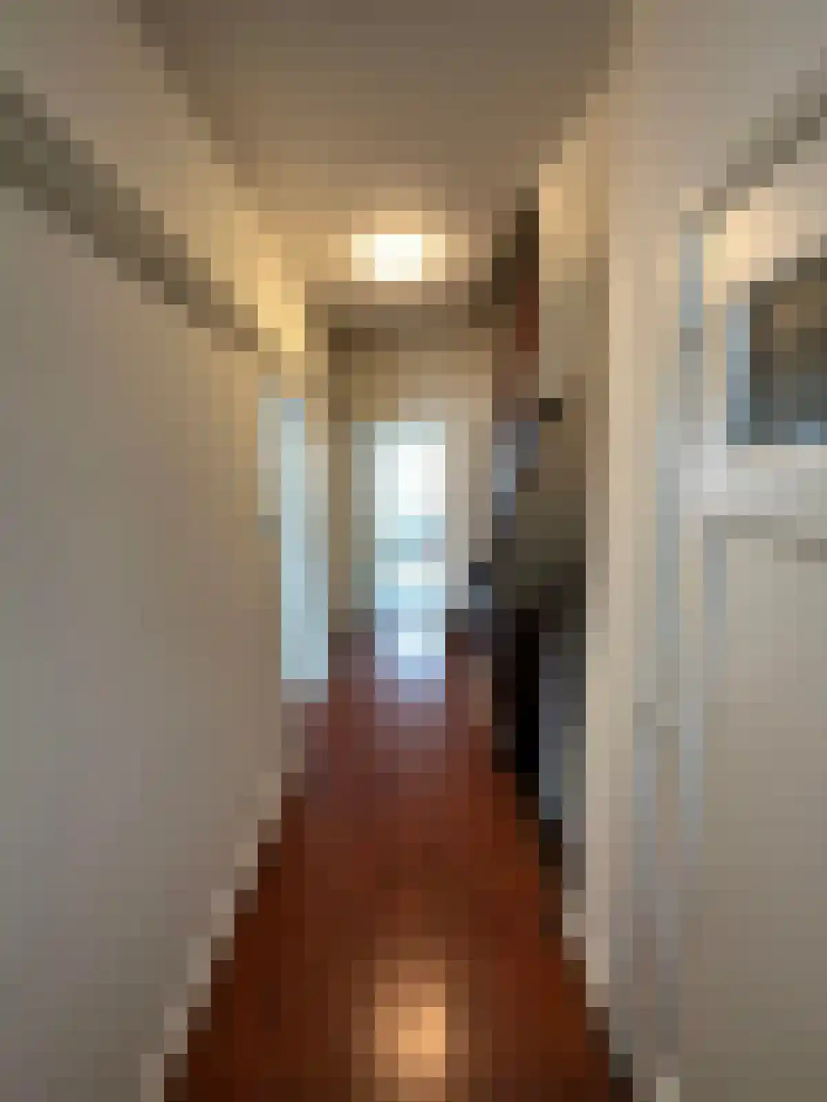 Capucijnenstraat 94 Maastricht thumbnail 4