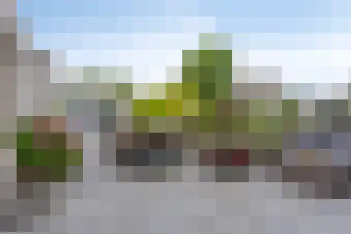 Carbasiusstraat 32 Purmerend thumbnail 6