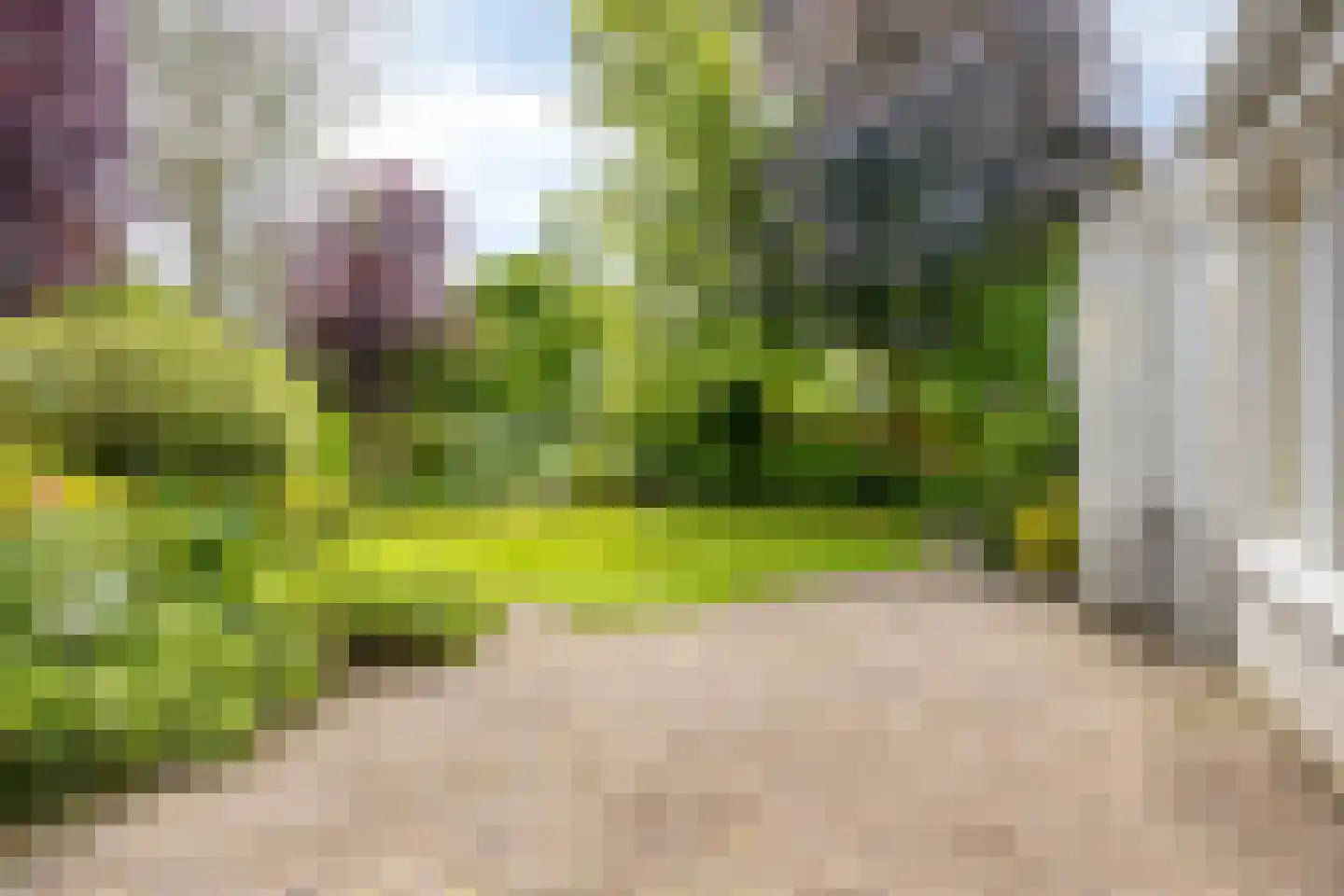 Carbasiusstraat 33 Purmerend thumbnail 31