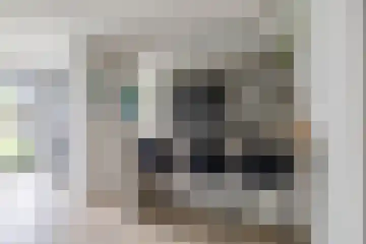 Carbeel 2 Lemmer thumbnail 13