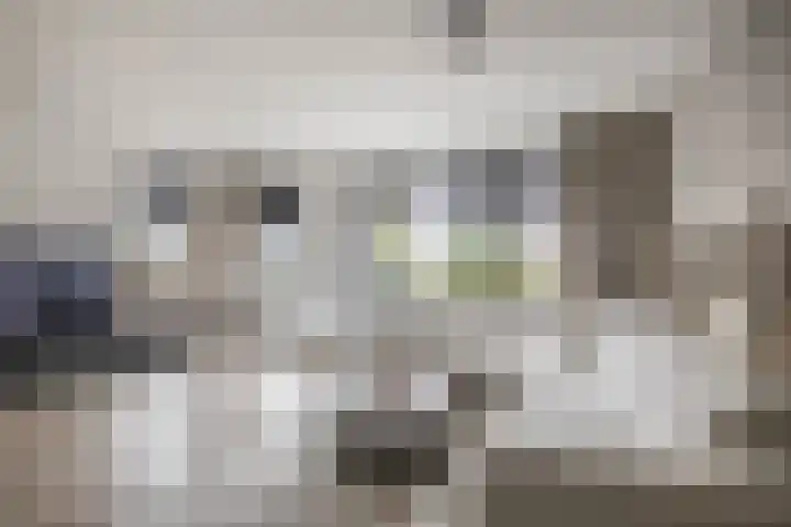 Carbeel 2 Lemmer thumbnail 4