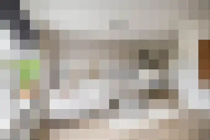 Carbeel 2 Lemmer thumbnail 8