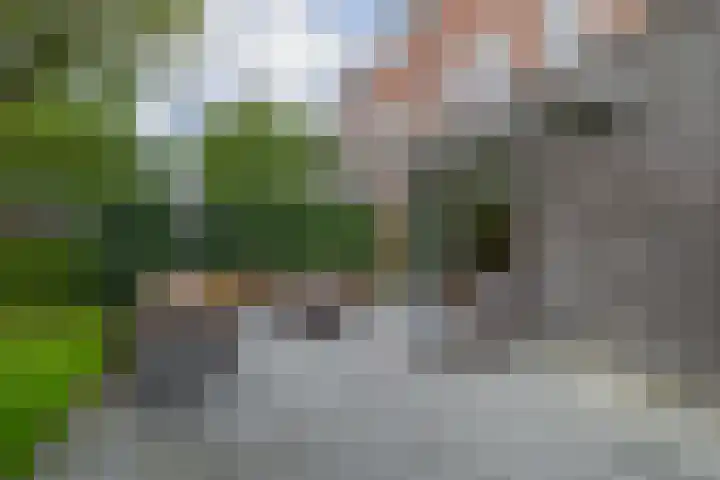 Carbeel 23 Lemmer thumbnail 20