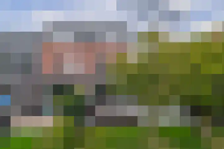 Carbeel 23 Lemmer thumbnail 42
