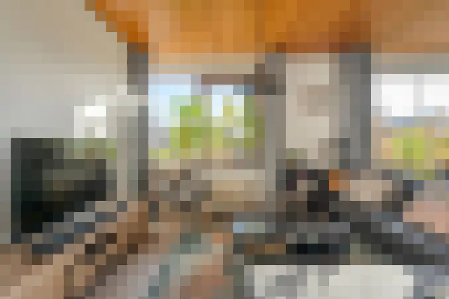 Carboonlaan 37 Nieuw-Schoonebeek thumbnail 14
