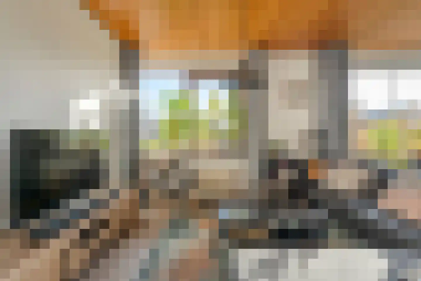 Carboonlaan 37 Nieuw-Schoonebeek thumbnail 14