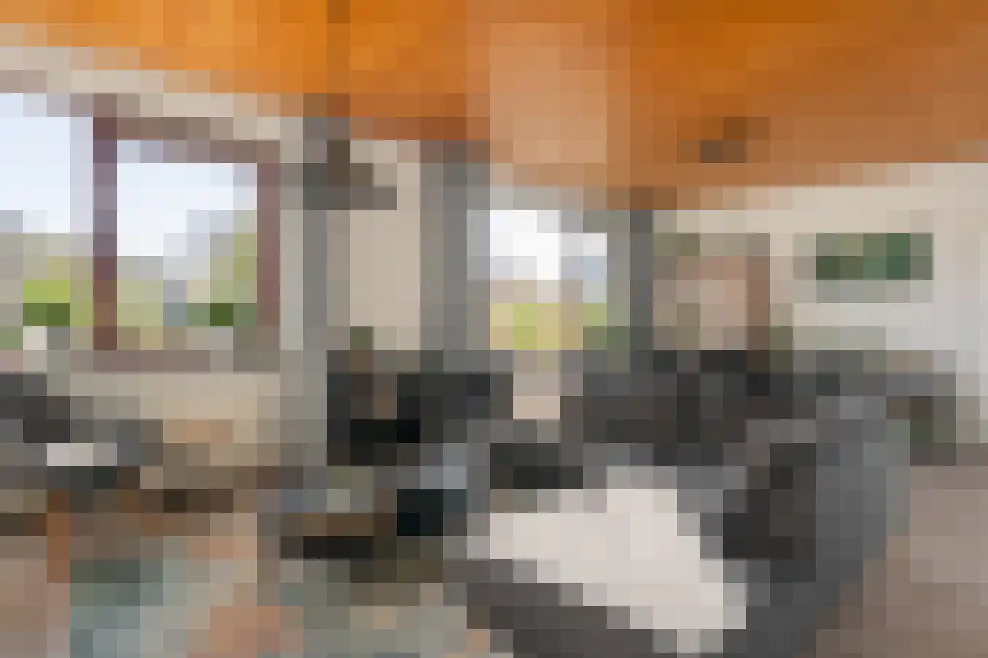 Carboonlaan 37 Nieuw-Schoonebeek thumbnail 15