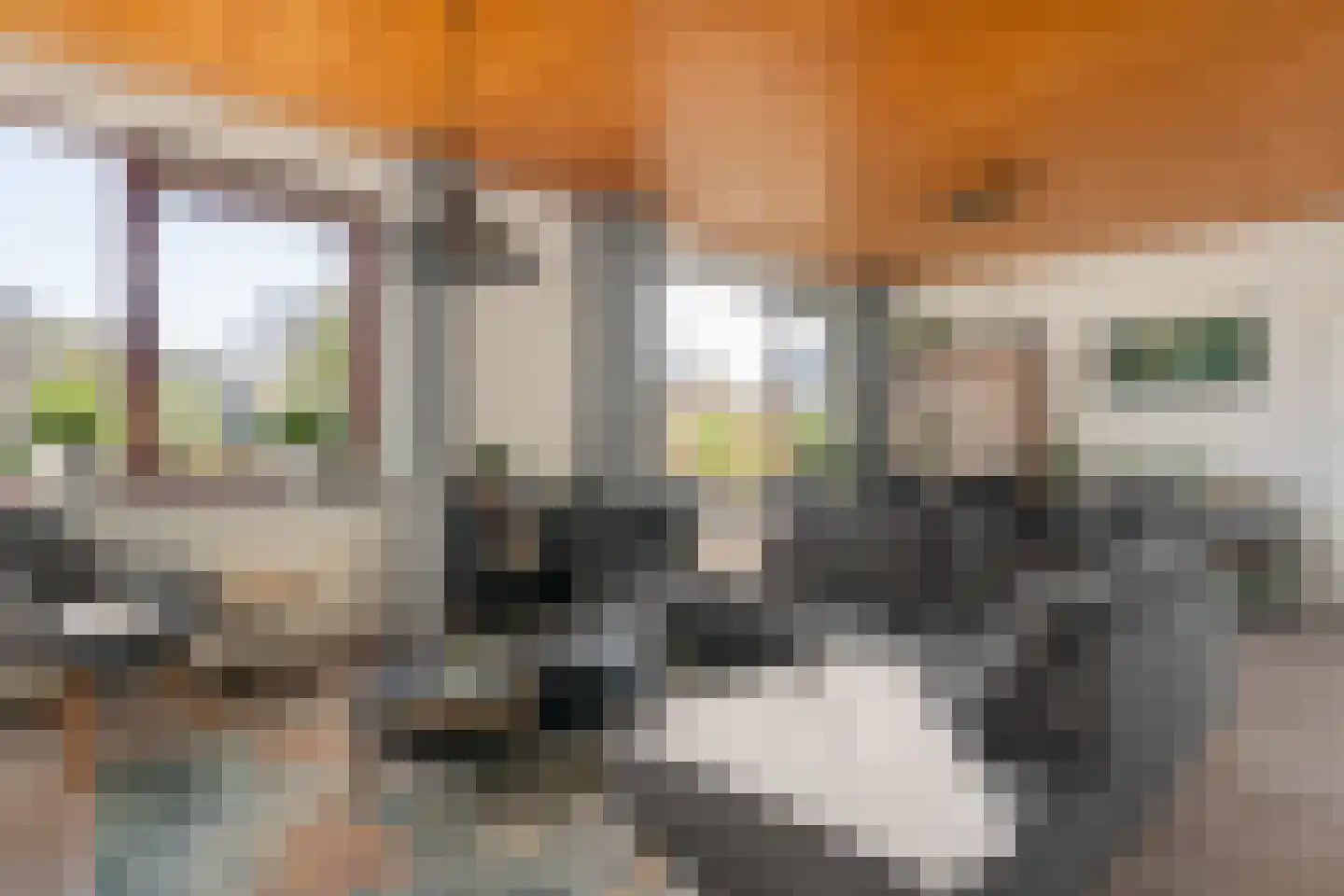 Carboonlaan 37 Nieuw-Schoonebeek thumbnail 15